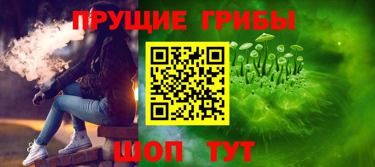 Псилоцибиновые грибы Cubensis Лосино-Петровский
